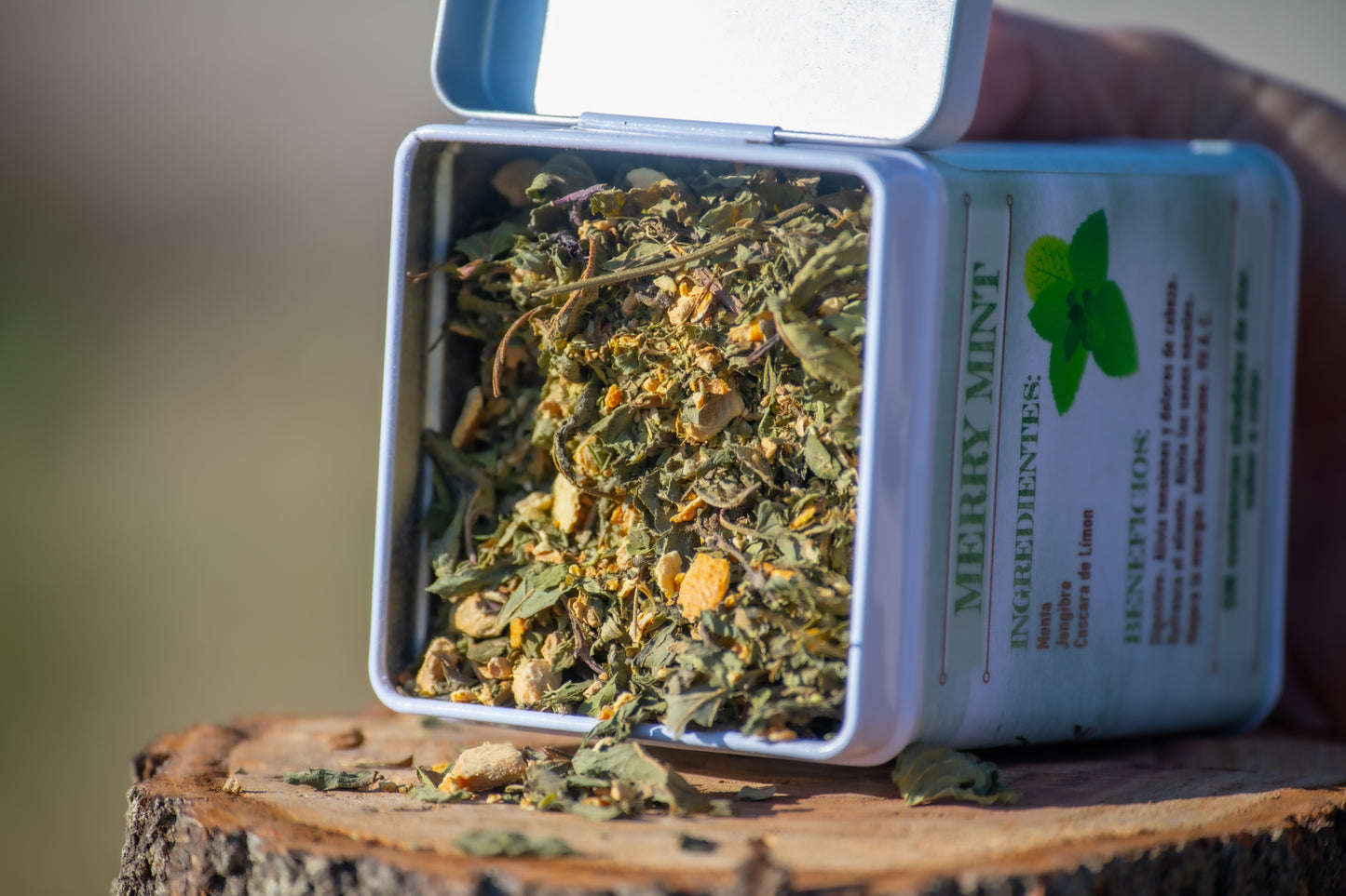 Menta Mágica / Merry Mint