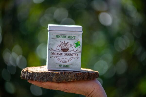 Merry Mint