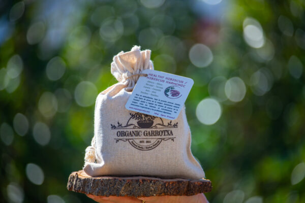 Healthy Hibiscus - Imagen 3