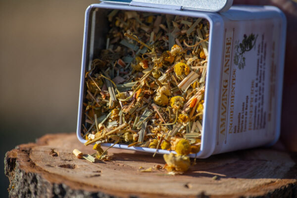 Amazing Anise - Imagen 2
