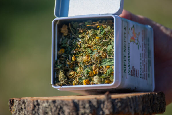 Nifty Nettle - Imagen 2