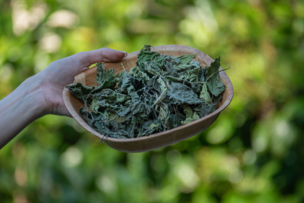 Melissa ( Melissa officinalis) hoja 25gr