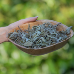 Ortiga (Urtica dioica) Hoja 100gr