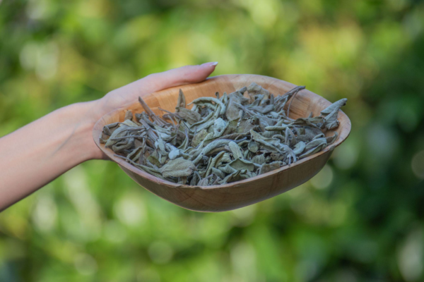 Salvia (Salvia Officinalis) Hoja 50gr