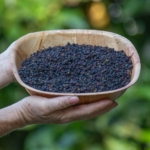 Saucó bayas (Sambucus nigra) 100gr